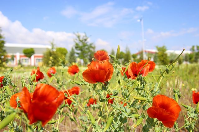 Aksaray Üniversitesi'nde En Uzun Gün Keyfi