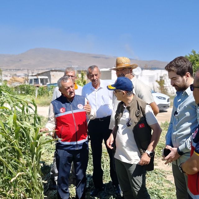 Niğde'de Yem Bitkisi Hasadı Gerçekleştirildi