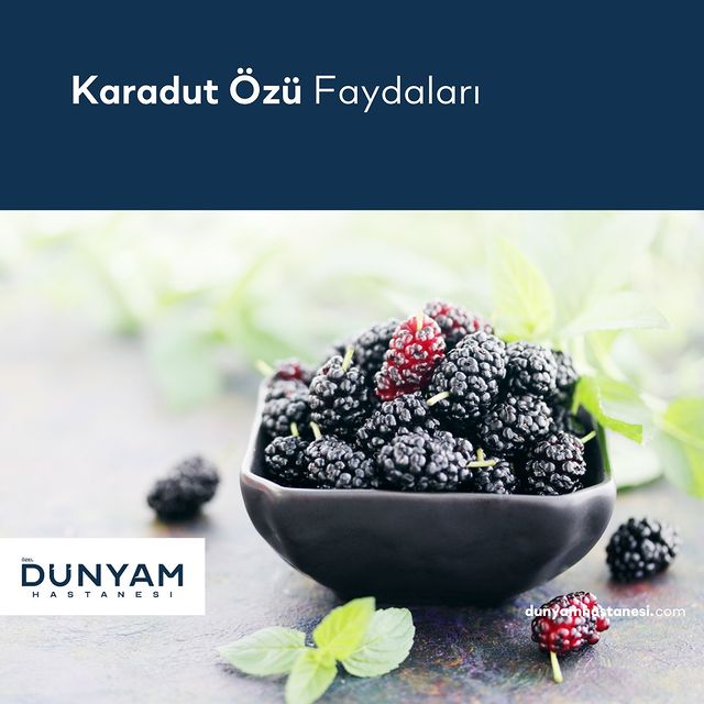 Karadut Özünün Faydaları