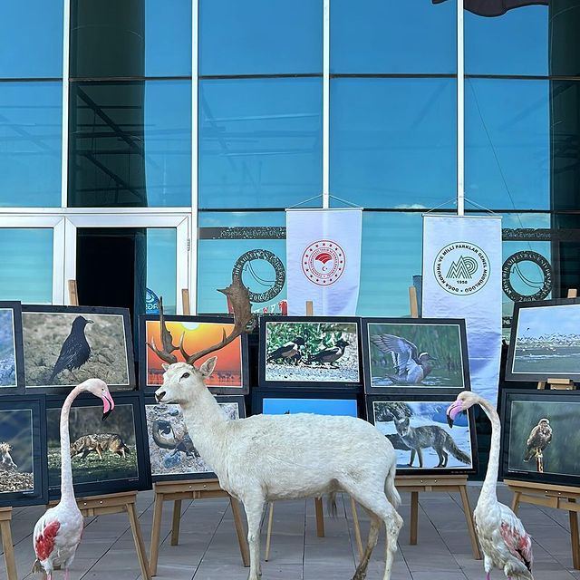 Kırşehir Ahi Evran Üniversitesi'nde Geleneksel Şenlik Rüzgarı