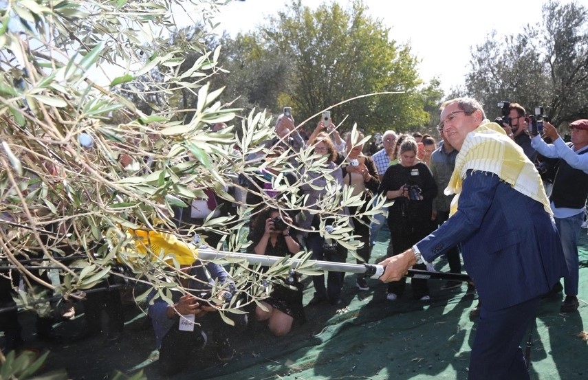 Uluslararası Ayvalık Zeytin Hasat ve Turizm Festivali