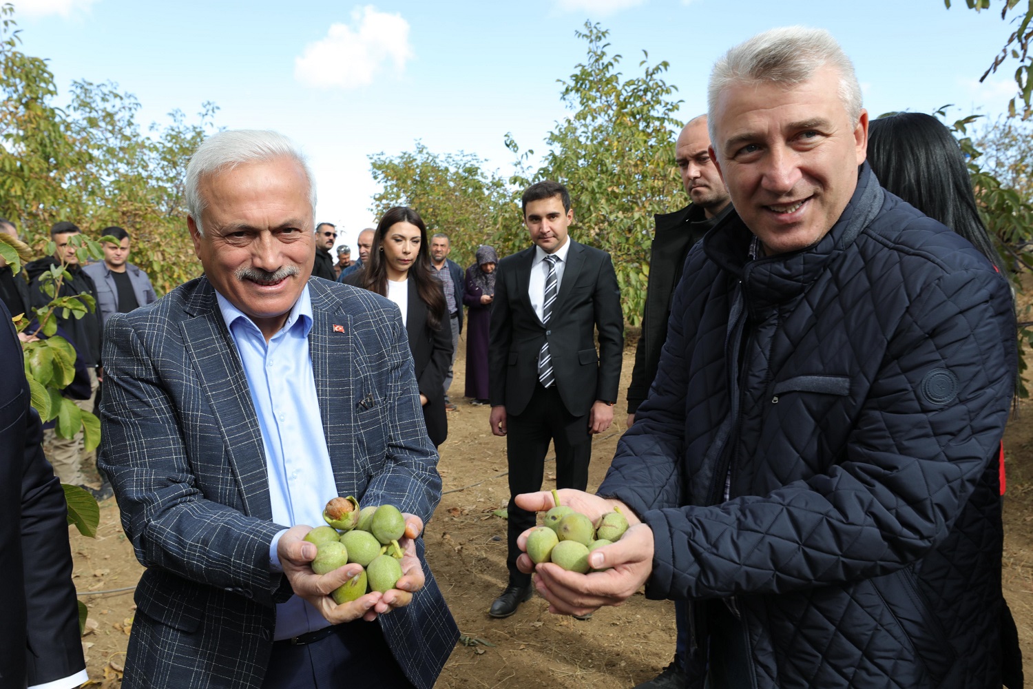 Ağaçören Ceviz Festivali