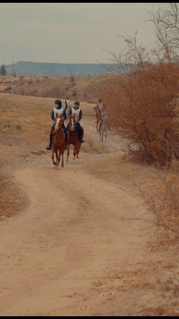 Ürgüp At Festivali’nin Son Günü Coşkuyla Kutlandı