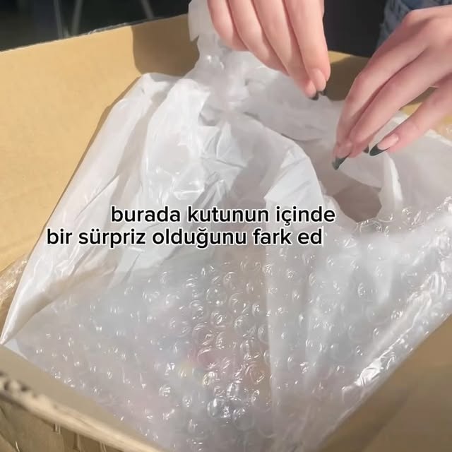 Japonya Kargosu Açılışı Yapıldı