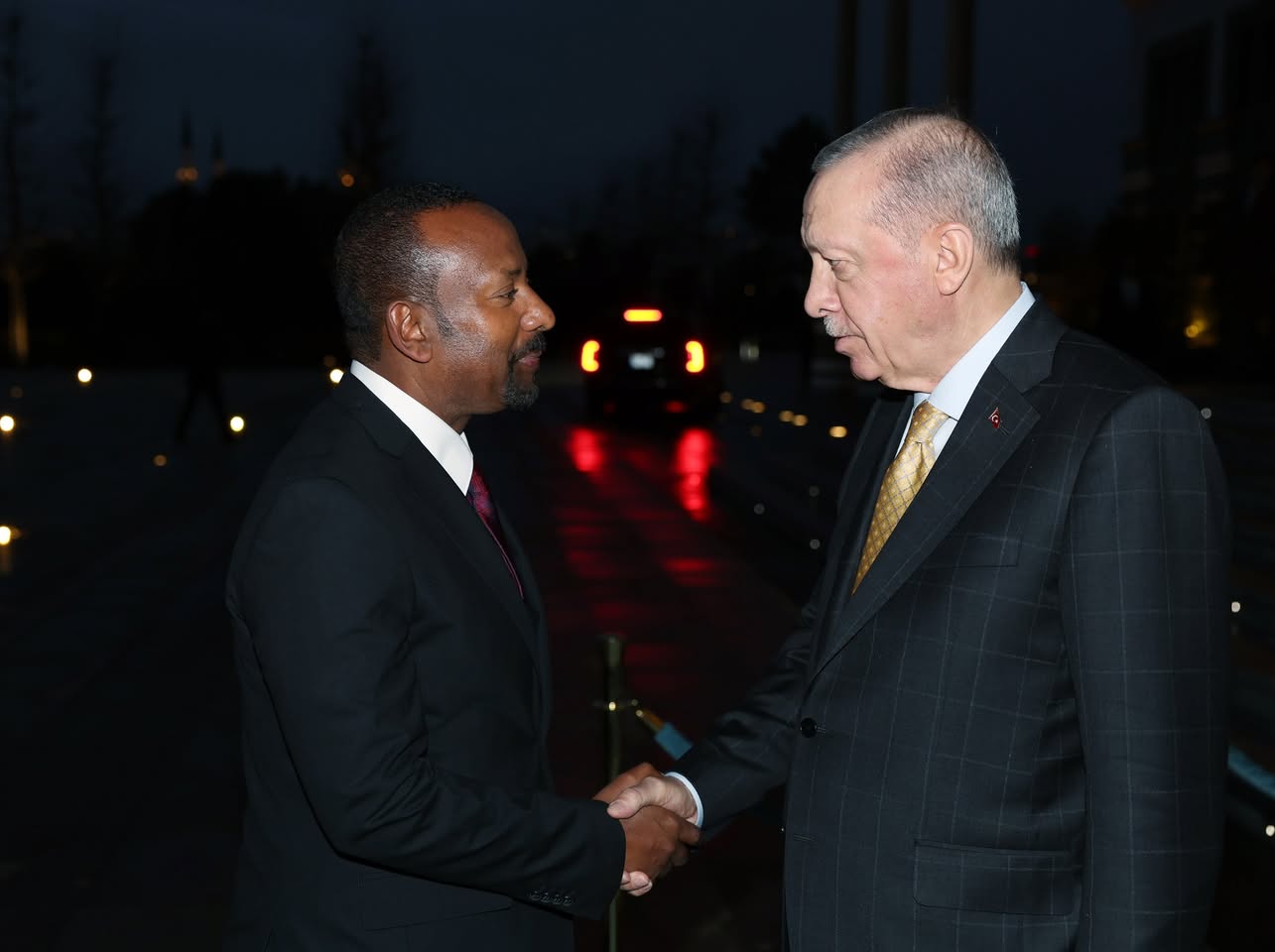 Cumhurbaşkanı Recep Tayyip Erdoğan, Etiyopya Başbakanı Abiy Ahmed ile Görüştü