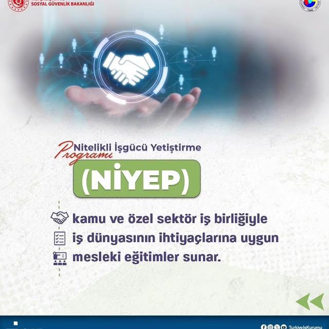 Nitelikli İşgücü Yetiştirme Programı (NİYEP)