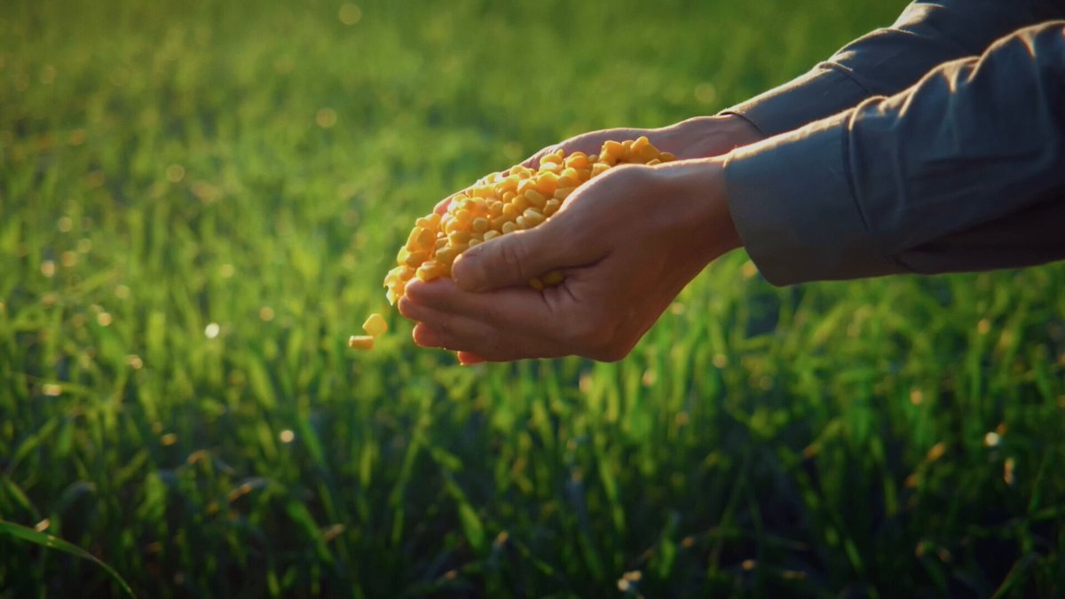 Agricover, Küçük Çiftçilere Yönelik E-Kredi Uygulamasını Geliştirdi