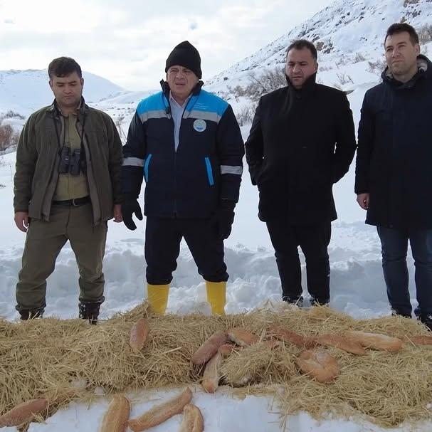 Yahyalı Aladağlar’da Yaban Hayvanlarına Yem Bırakıldı