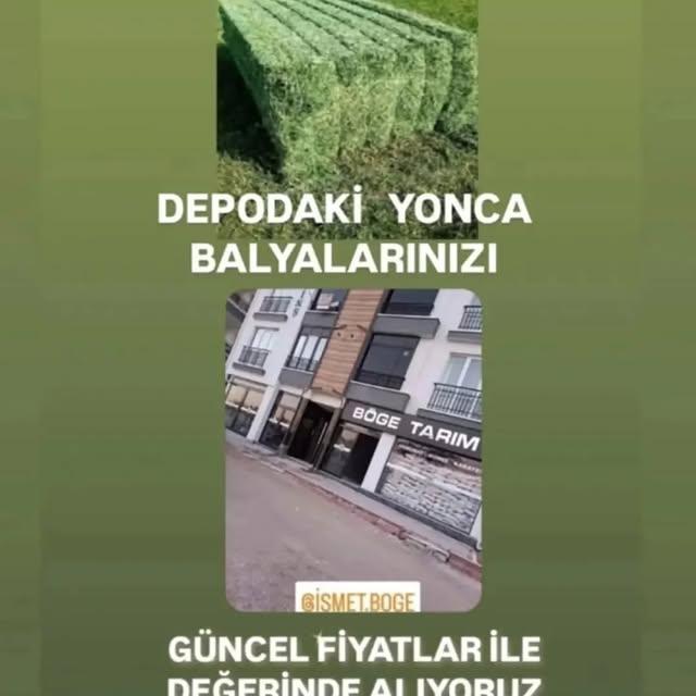 Böge Tarım, Yonca Balyalarını Değerinde Almaya Başladı