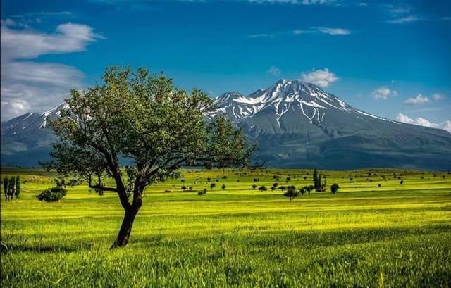 Aksaray Belediyesi'nden Bahar Mesajı