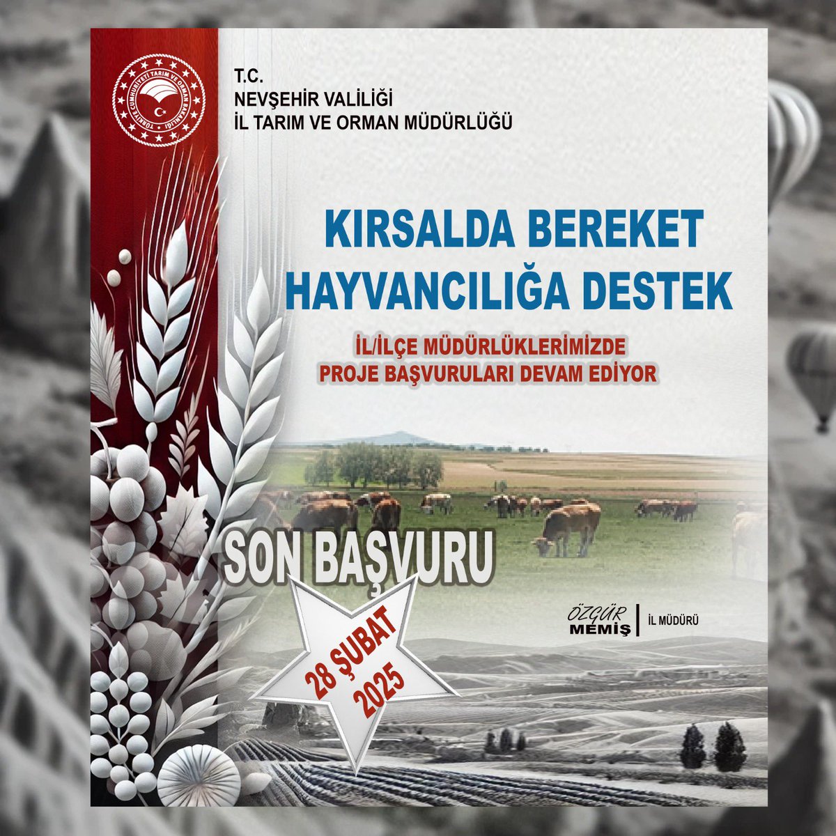 Nevşehir'de Büyükbaş Hayvan Dağıtım Programı: Üreticilere Destek ve Kırsal Kalkınma Fırsatı