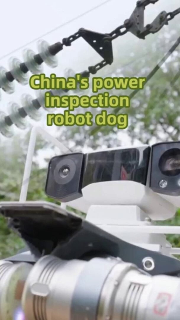 Çin'de Robot Köpeğin Büyüleyici Performansı