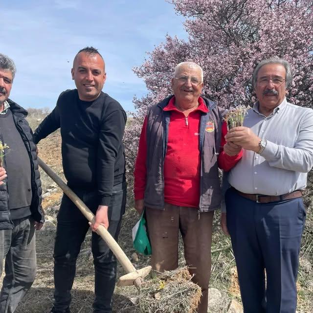 Avanos'ta Nevruz Coşkusu: Belediye Başkanı Çiçekleri Topladı