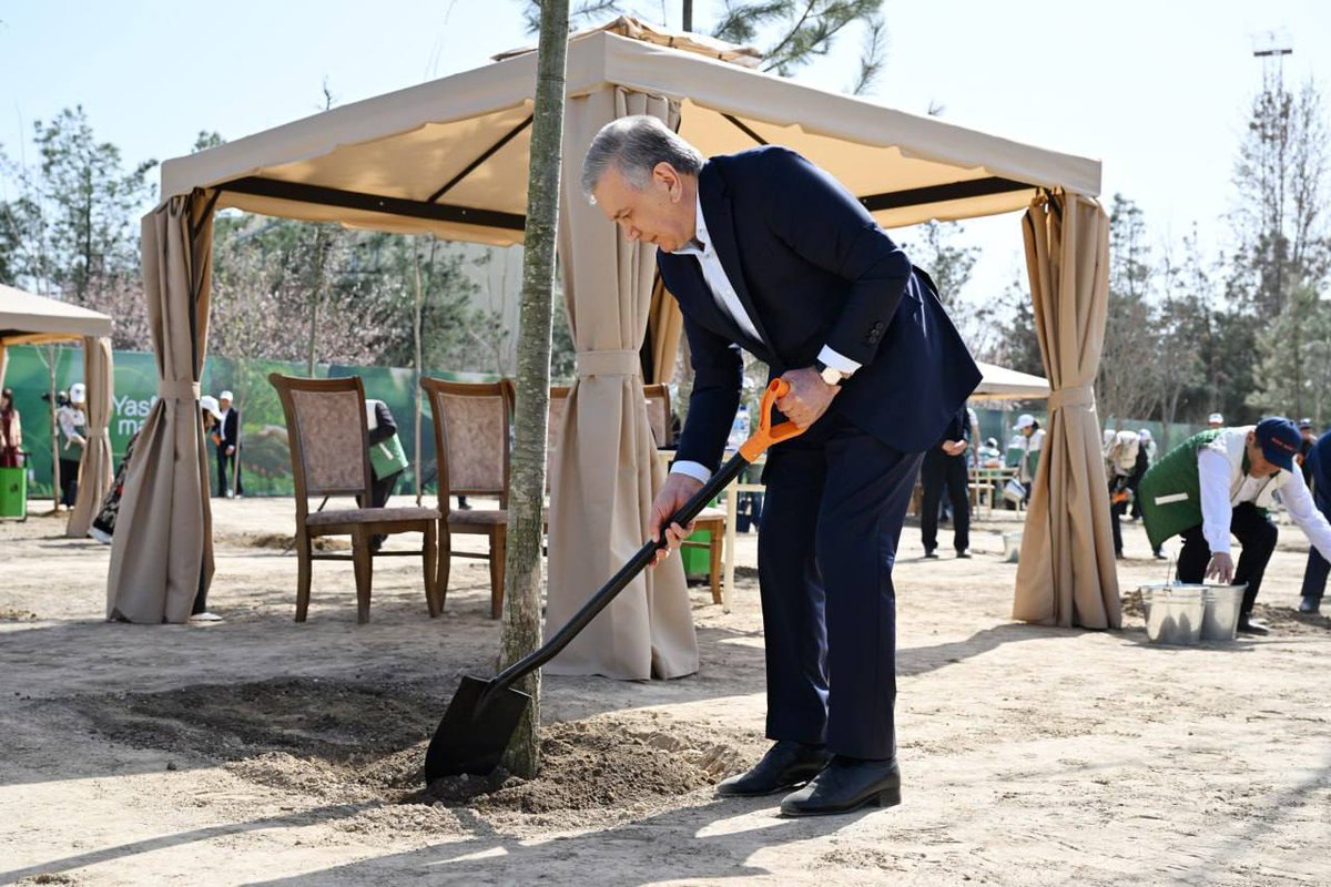 Cumhurbaşkanı Mirziyoyev, Bektemir'de Ağaç Dikim Etkinliğine Katıldı ve Navruz Töreniyle Buluştu