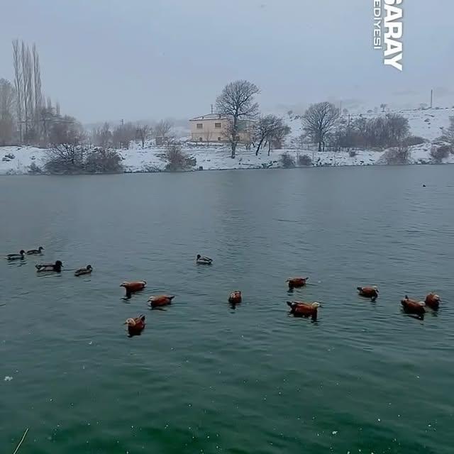 Aksaray'dan Cuma Günü Mesajı: Bereket ve Sağlık Dileği