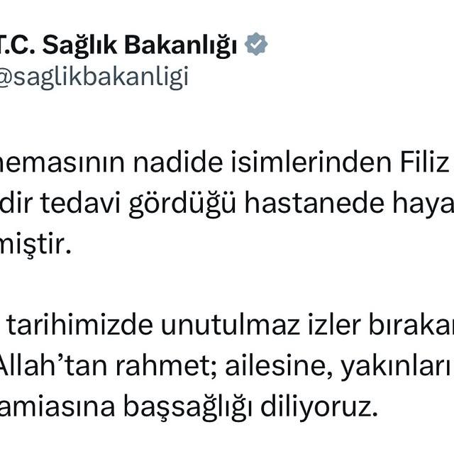 Türk Sinemasının Emekçi İsminden Filiz Akın Vefat Etti