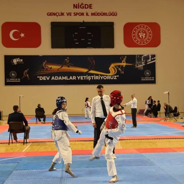 Taekwondo Türkiye Şampiyonası, Niğde'de Başladı